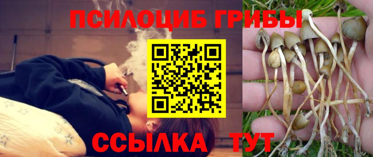 Галлюциногенные грибы Psilocybe  Вход с VPN  Архангельск 